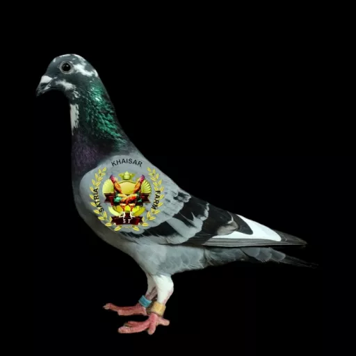 Foto Merpati Pos ID23-206187