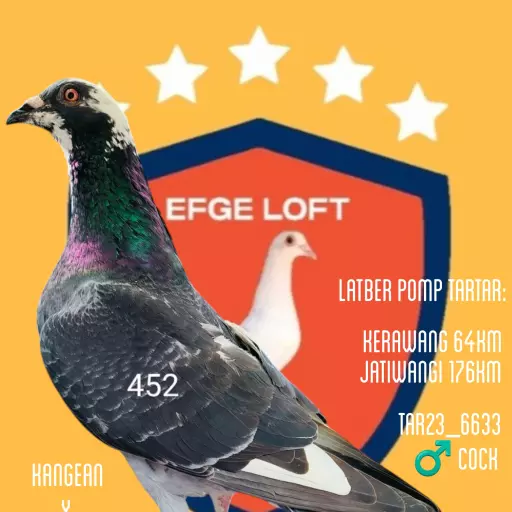 Foto Merpati Pos TAR23-006633