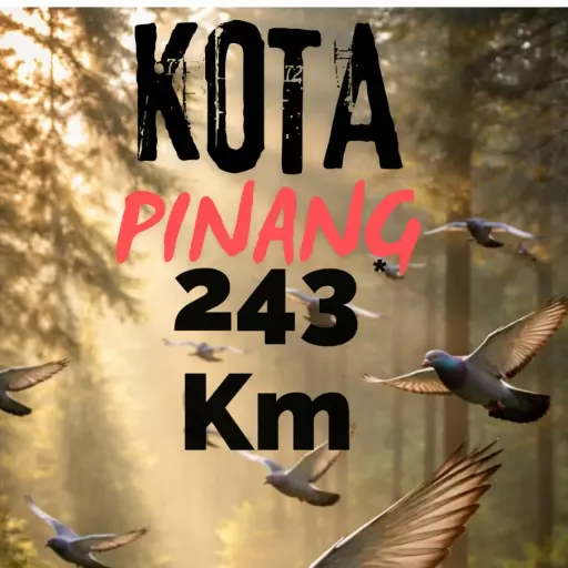 Lomba: HATTRIK  NRPC 2026 - 2026