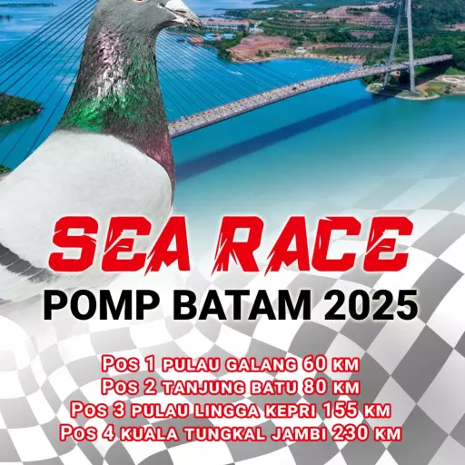Lomba: Sea race 2025 - 2025